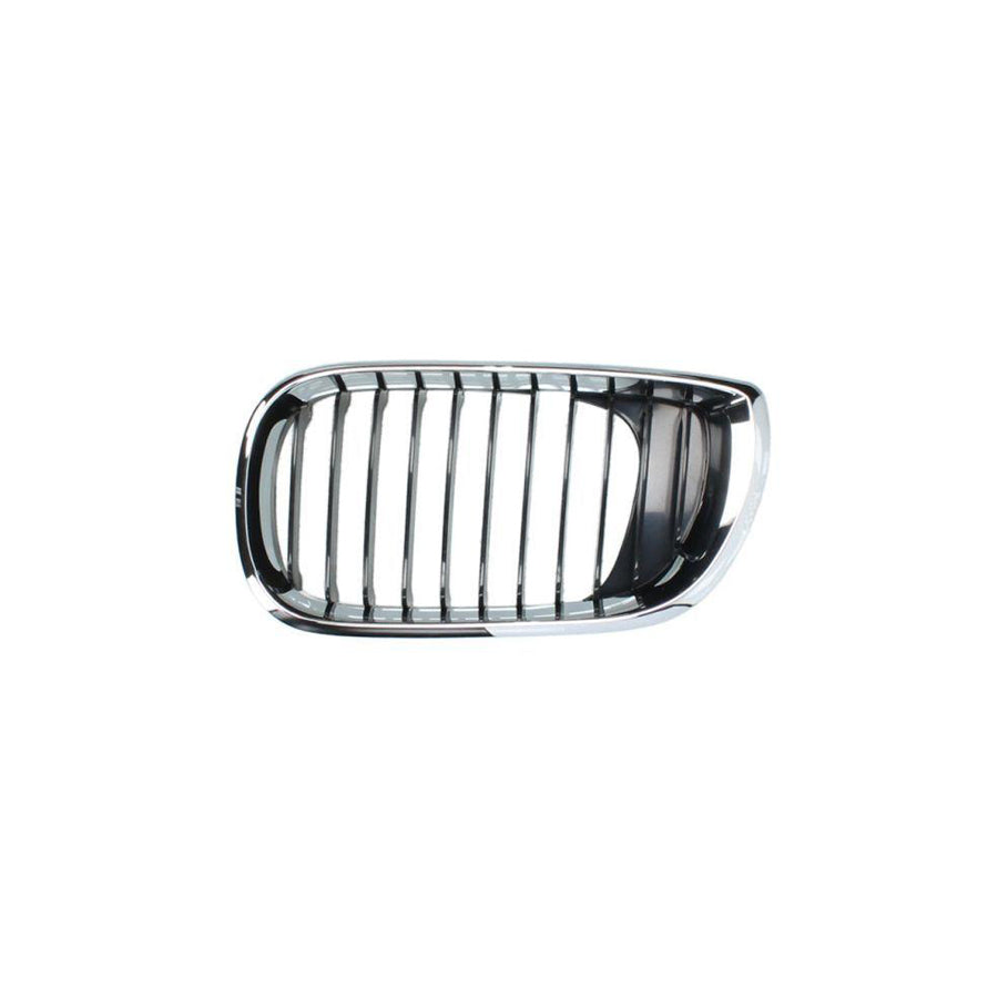 Blic 6502-07-0061991Ap Radiator Grille For BMW 3 Series