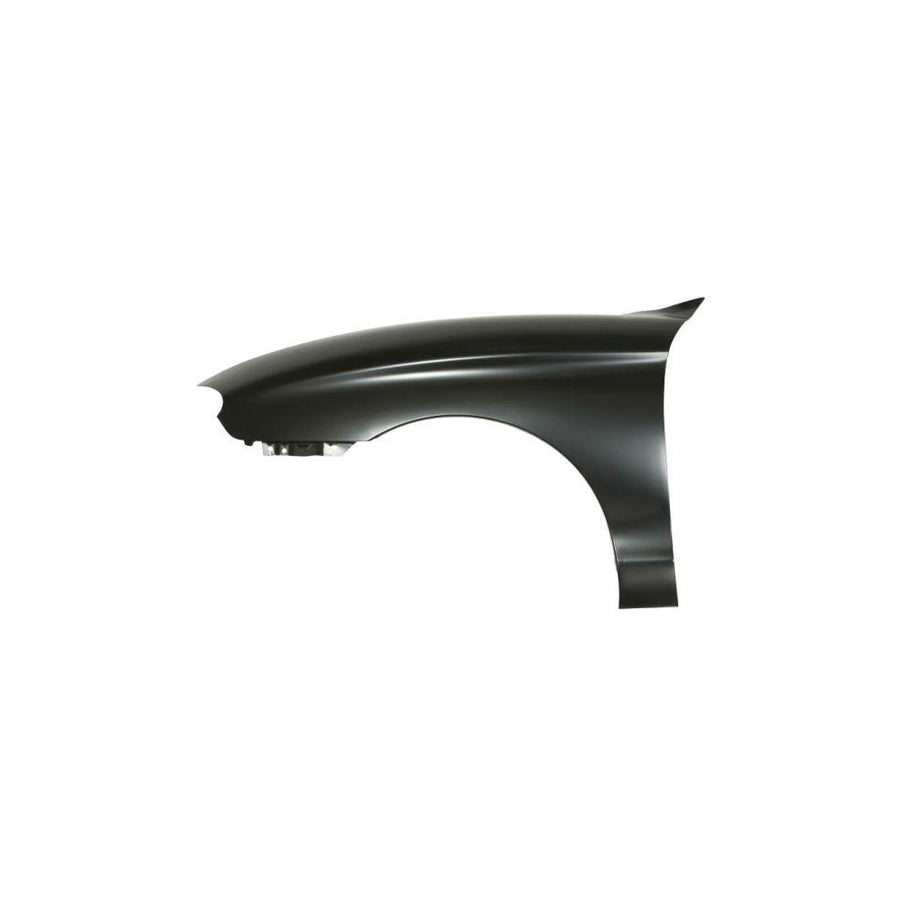 Blic 6504-04-6038314P Wing Fender For Renault Scénic I (Ja0/1, Fa0)