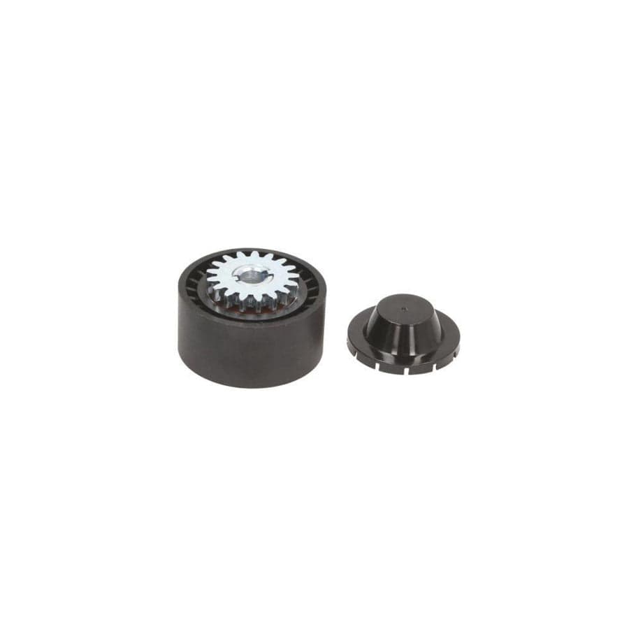 BTA E2R5603BTA Tensioner Pulley