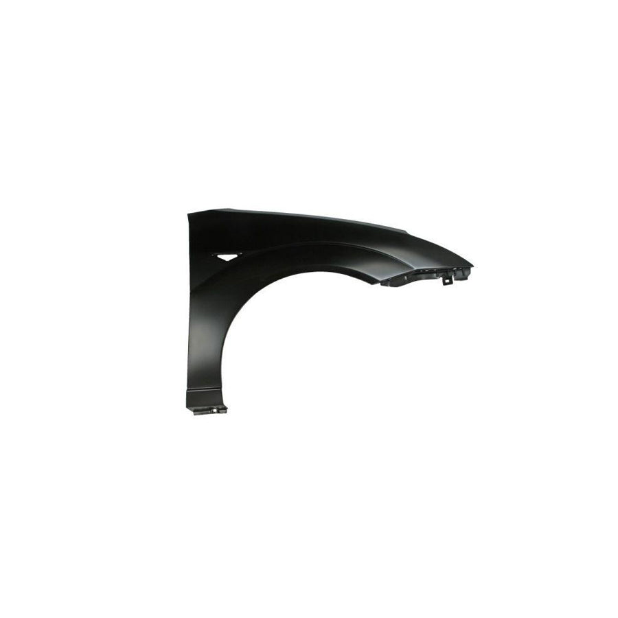 Blic 6504-04-2532314P Wing Fender For Ford Focus