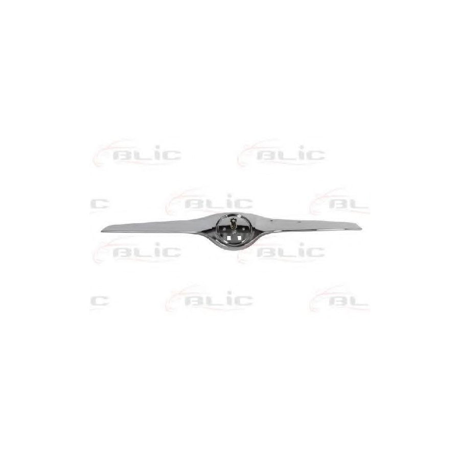 Blic 6502-07-7515991P Trim / Protective Strip, Radiator Grille