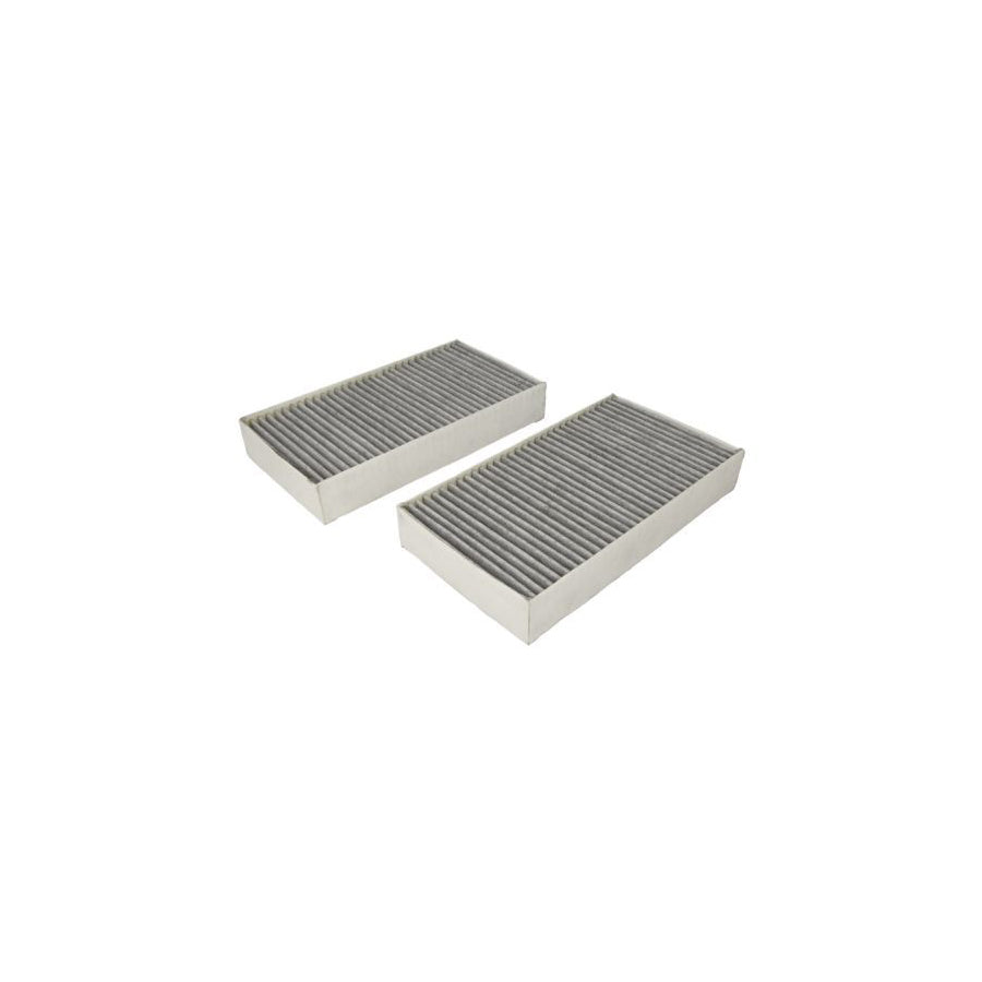 JC Premium B4M028CPR-2X Pollen Filter