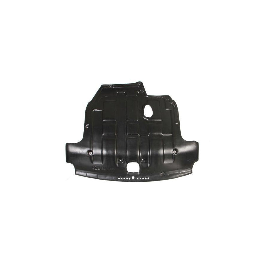 Blic 6601-02-3181860P Engine Cover For Hyundai Santa Fe II (Cm)