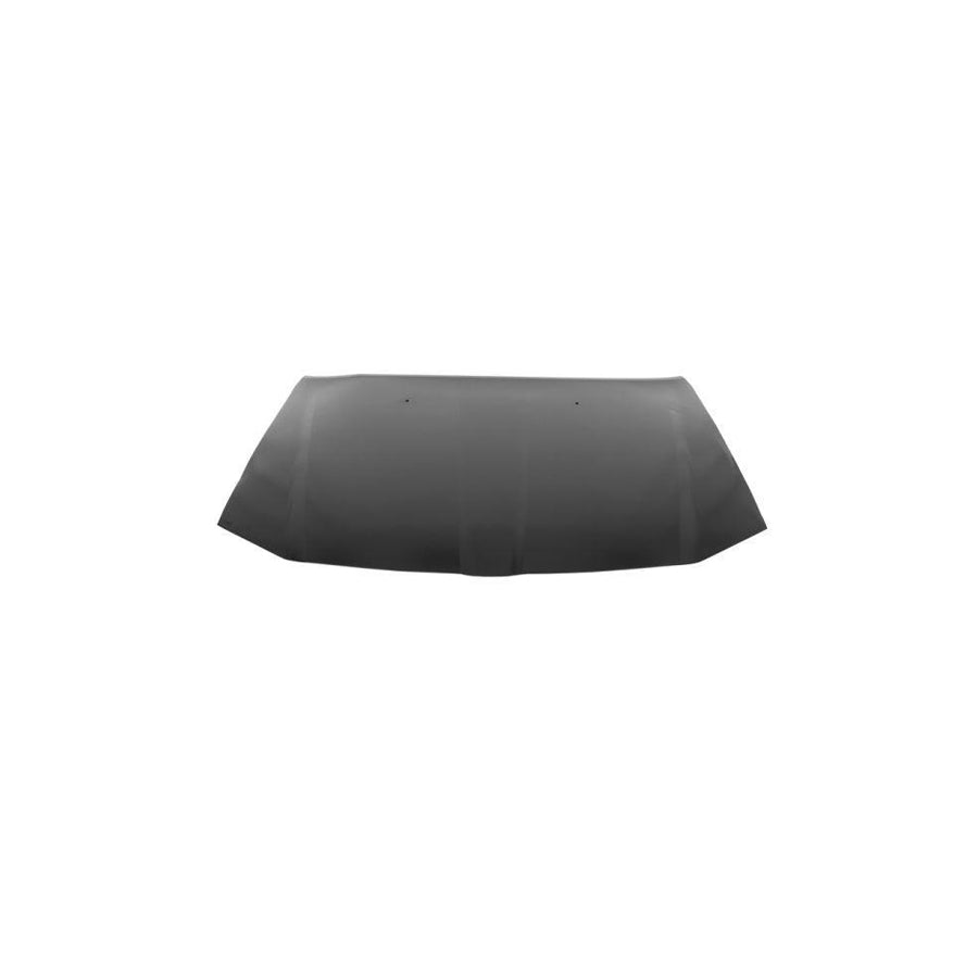 Blic 6803-00-0939280P Bonnet