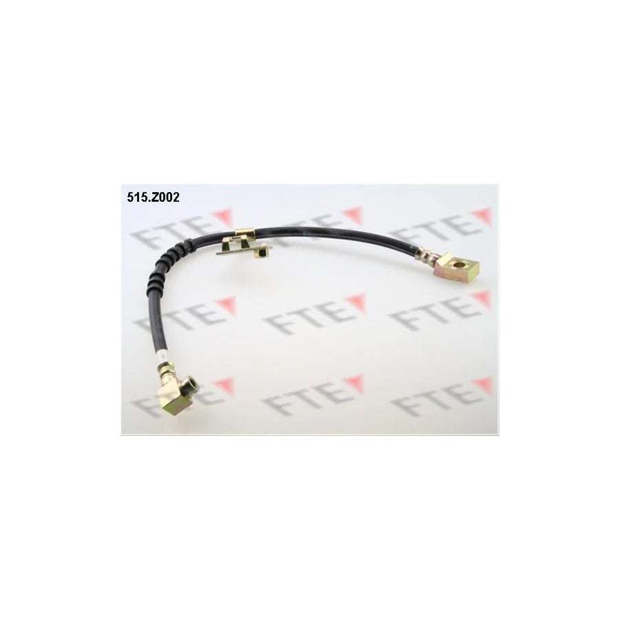 FTE 515.Z002 Brake Hose