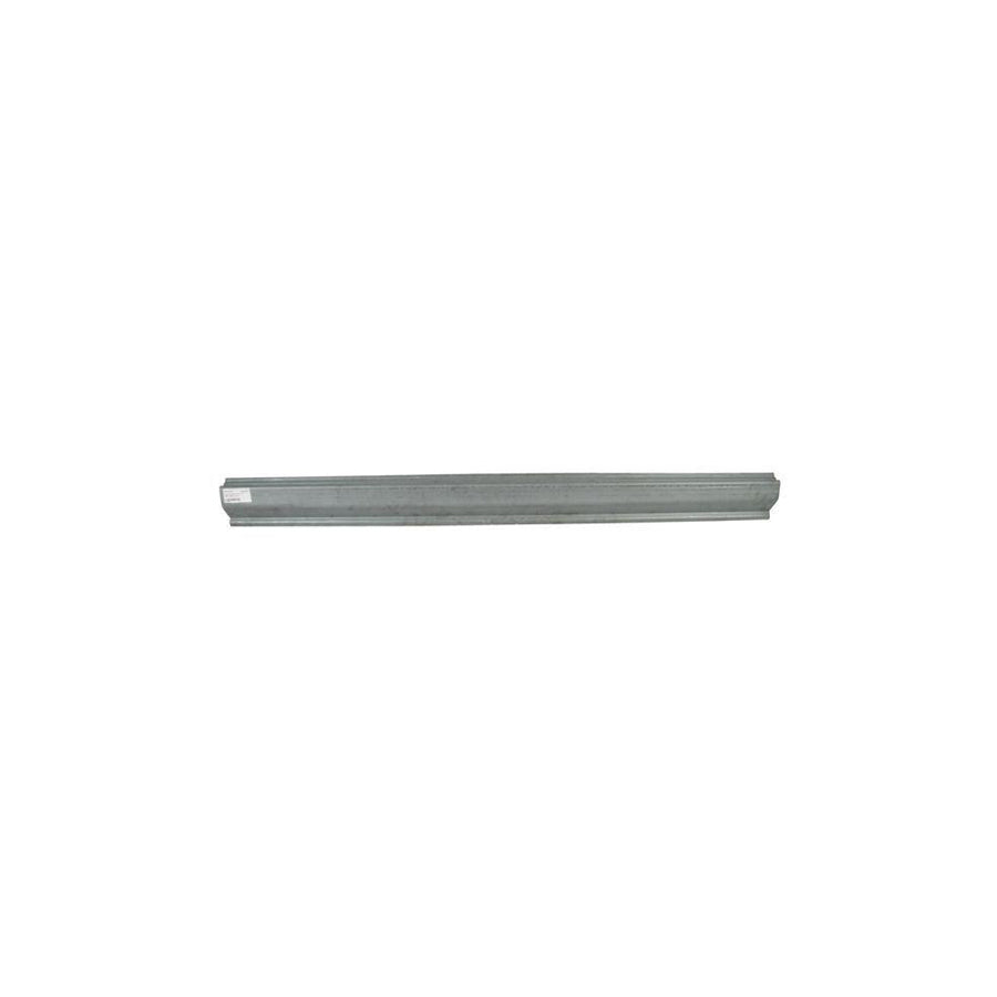 Blic 6505-06-1676015P Rocker Panel For Nissan Terrano II Off-Road (R20)