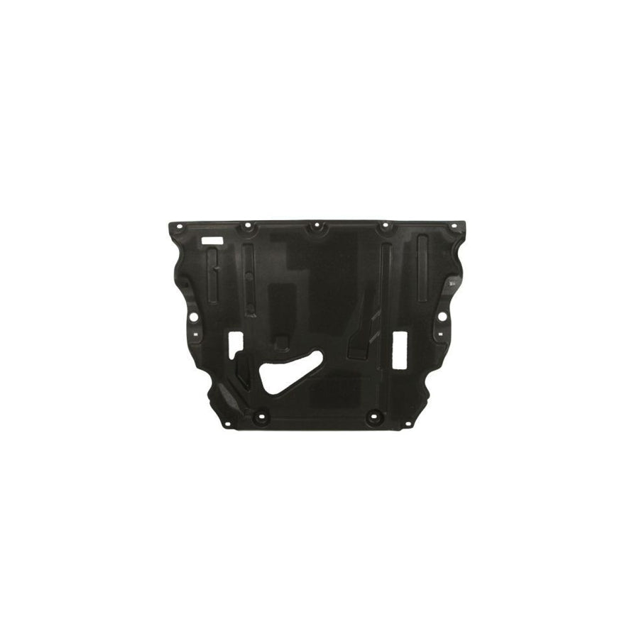 Blic 6601-01-5507814P Repair Panel for PEUGEOT 206 | ML Performance UK Car Parts