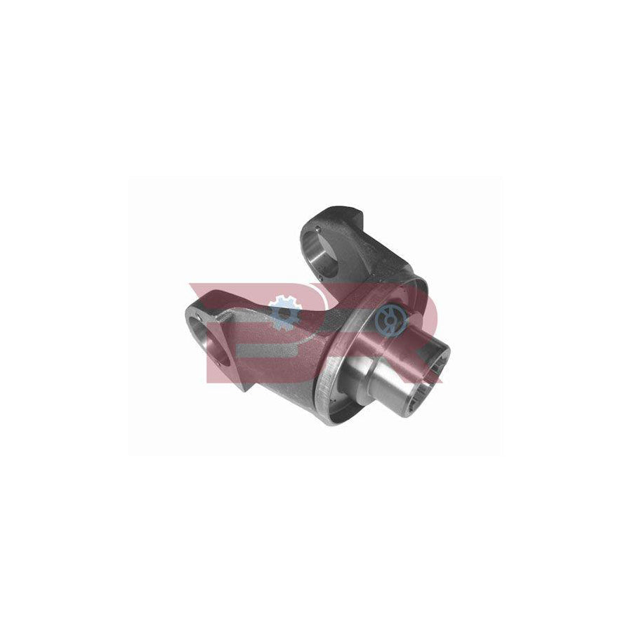 Botto Ricambi Brd2908 Flange, Differential