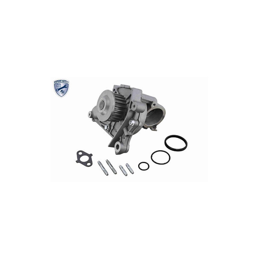 Ackoja A70-50007-1 Water Pump | ML Performance US