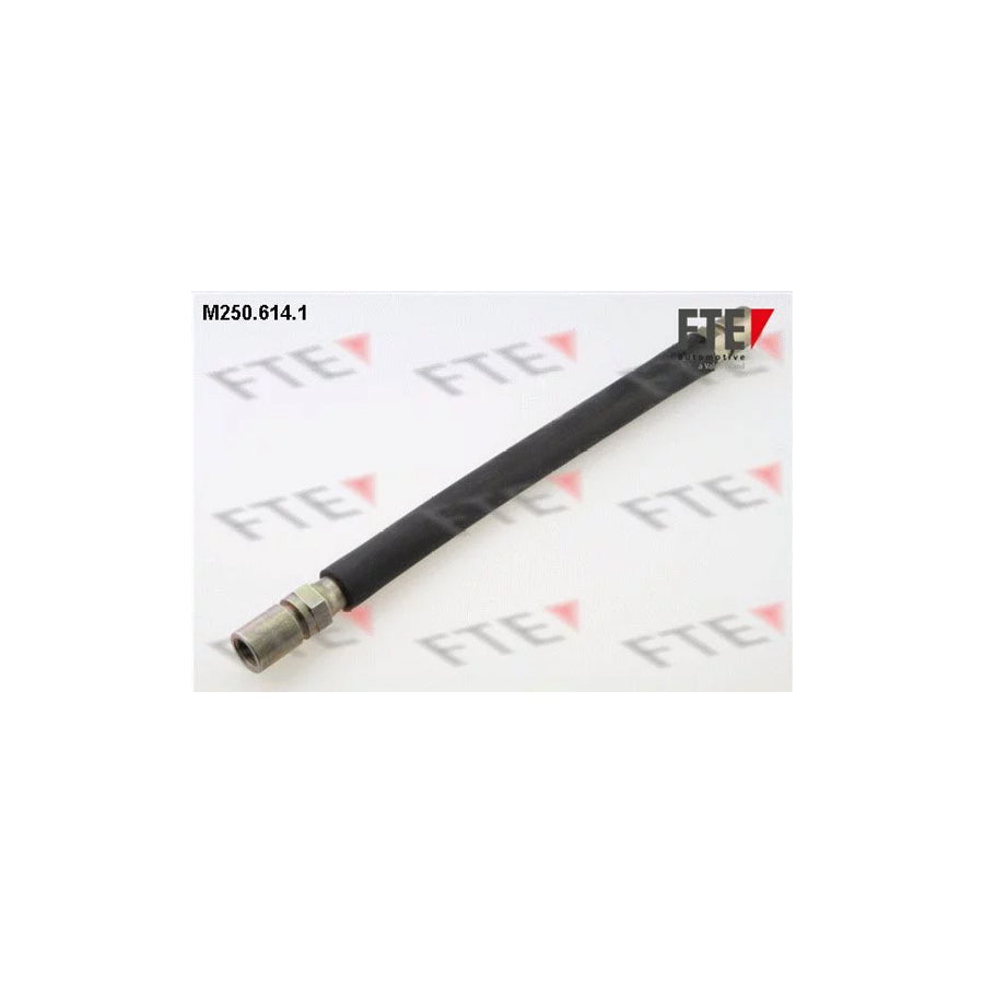 FTE M250.614.1 Brake Hose