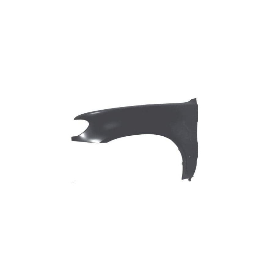 Abakus 00425211 Wing Fender for BMW X5 (E53)