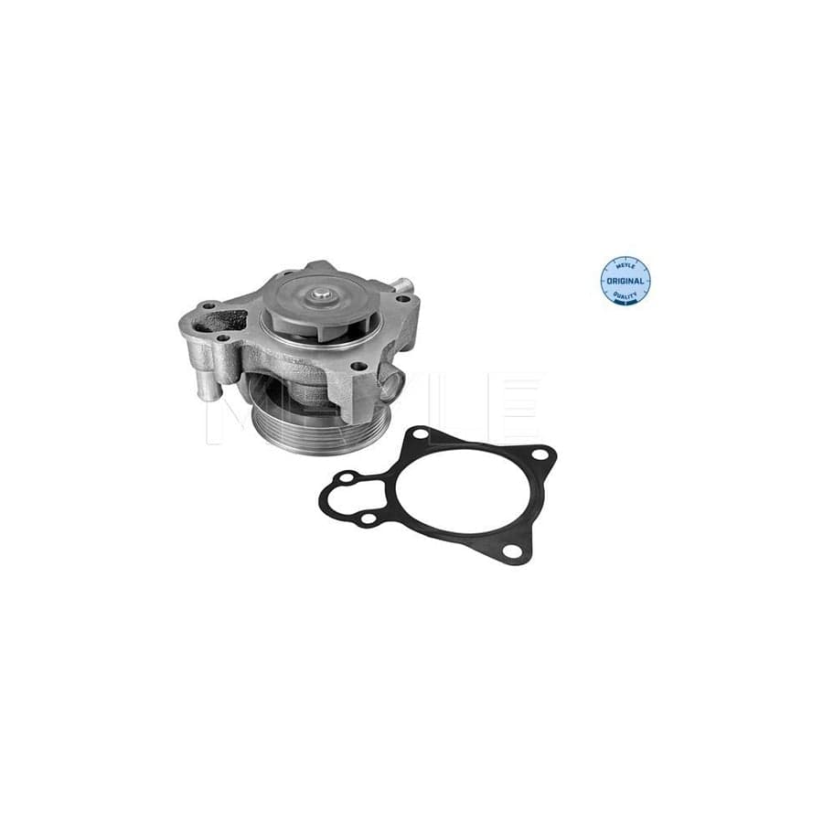 Meyle 11-13 220 0024 Water Pump
