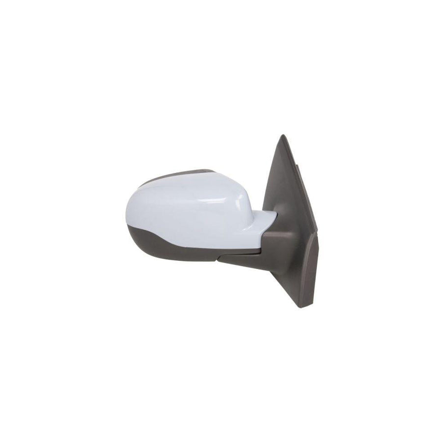 Blic 5402-09-2002120P Wing Mirror For Renault Clio