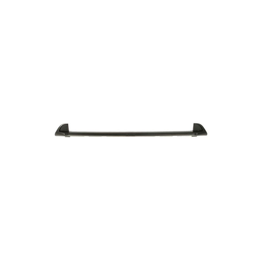 Blic 6502-07-2098910P Trim / Protective Strip, Radiator Grille