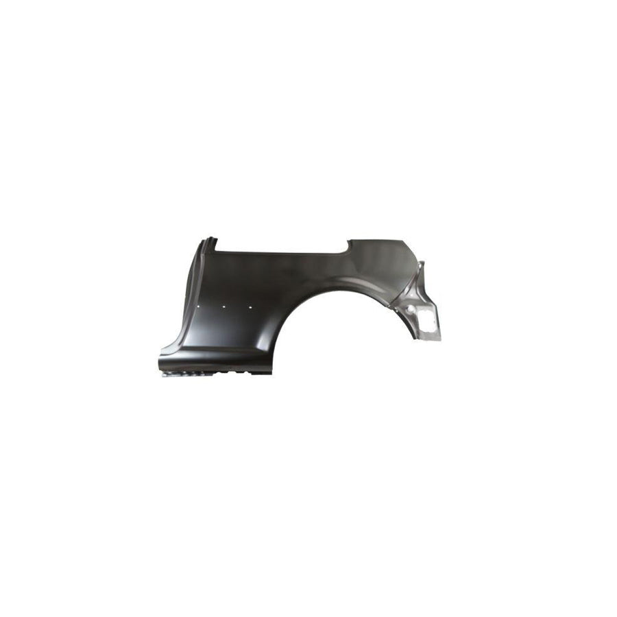 Blic 6504-01-9523511P Wing Fender For VW Golf
