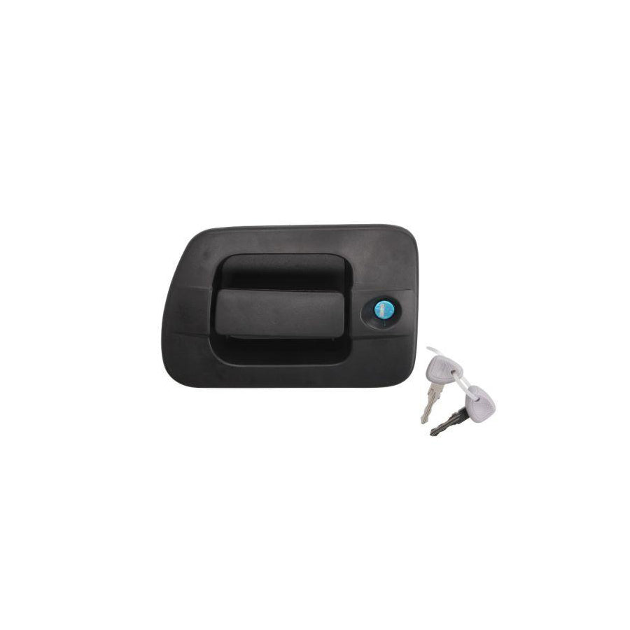 Blic 6010-30-004401P Door Handle