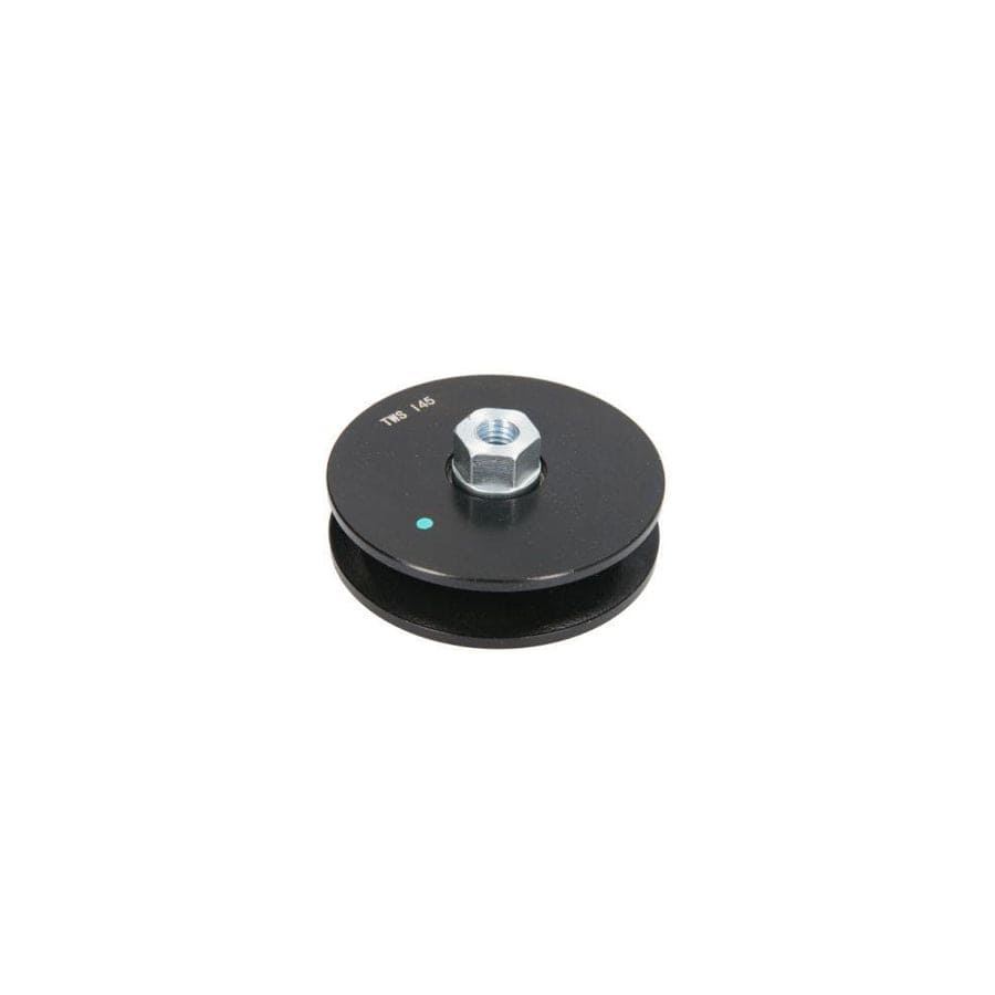 BTA B05-Ag-067 Tensioner Pulley