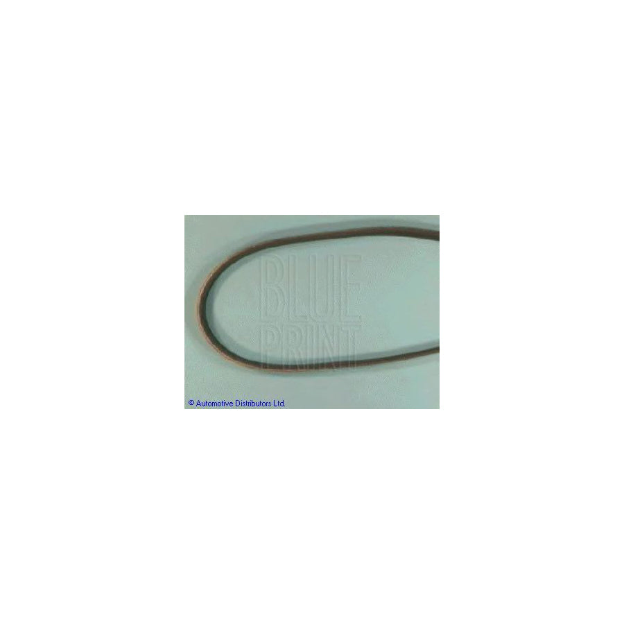Blue Print Adt39613 V-Ribbed Belt