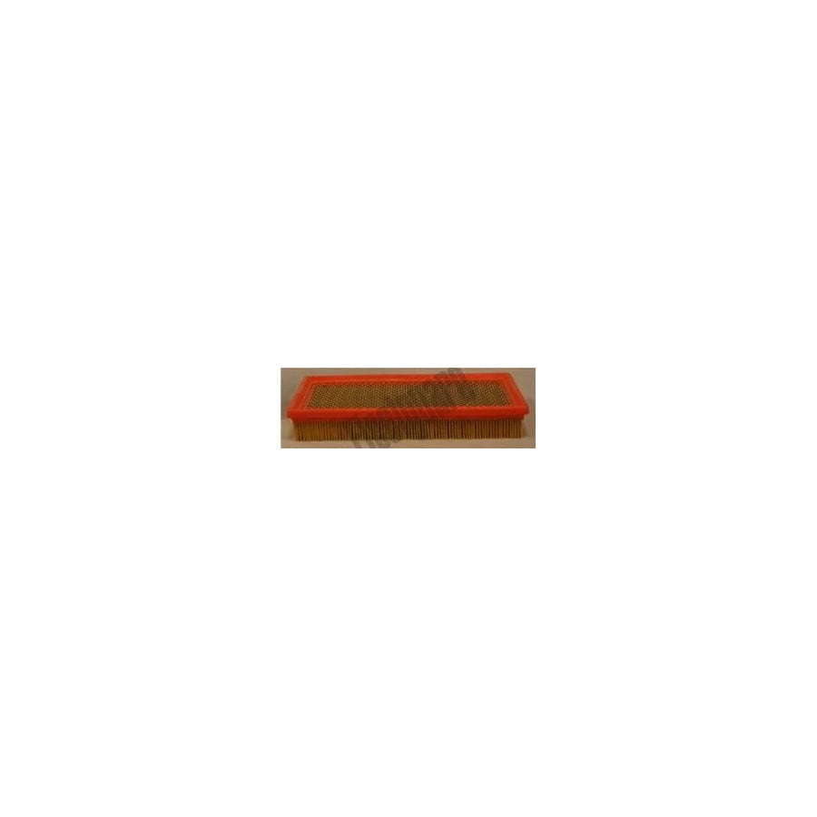 Fleetguard Af25423 Air Filter