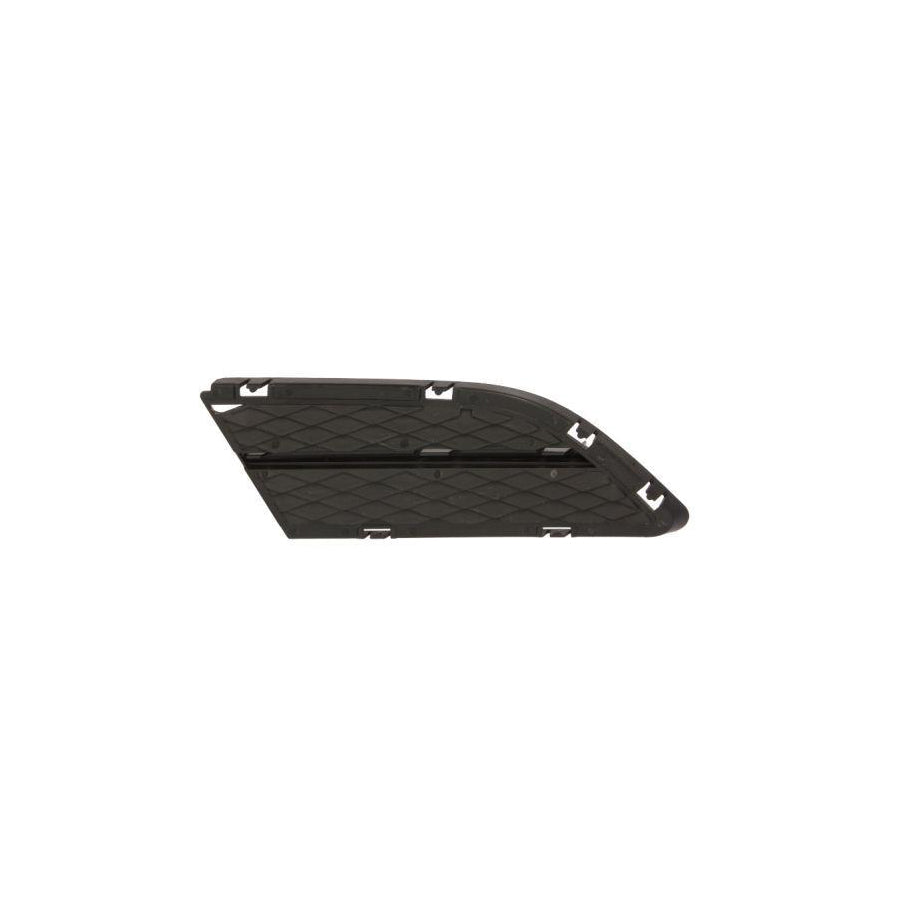 Blic 6502-07-0062995Pp Bumper Grill For BMW 3 Series