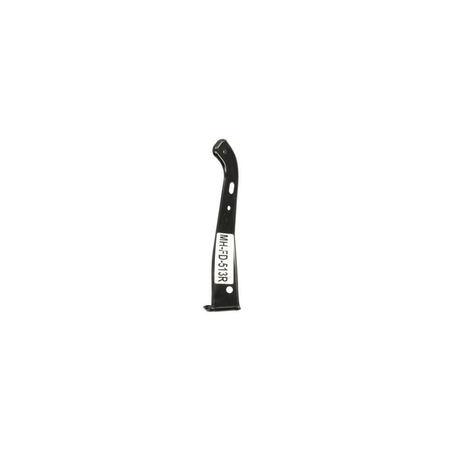 Blic 6504-02-2589412P Holder, Mudguard For Ford Usa Mustang Mach-E