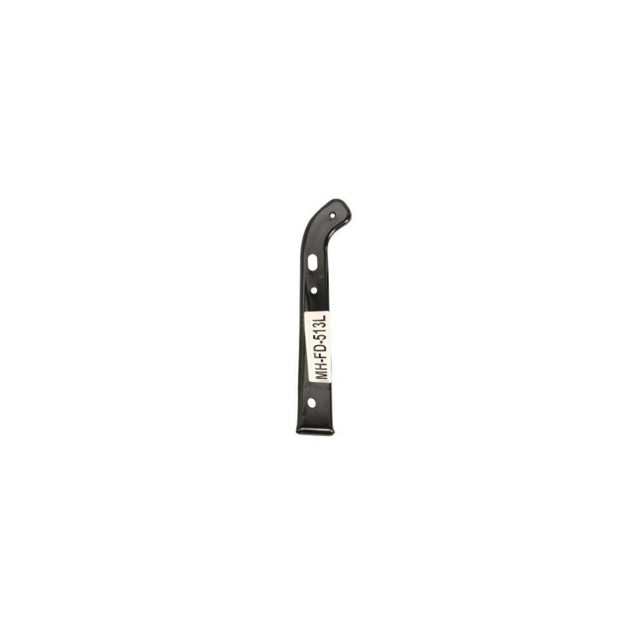 Blic 6504-02-2589411P Holder, Mudguard For Ford Usa Mustang Mach-E