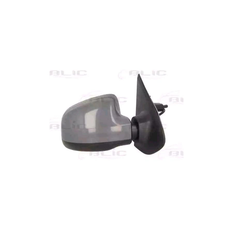 Blic 5402-67-2001146P Wing Mirror