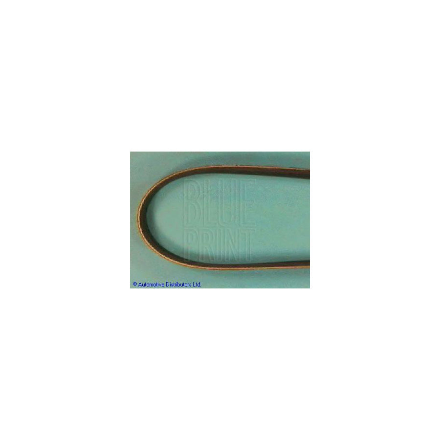 Blue Print Adt39623 V-Ribbed Belt