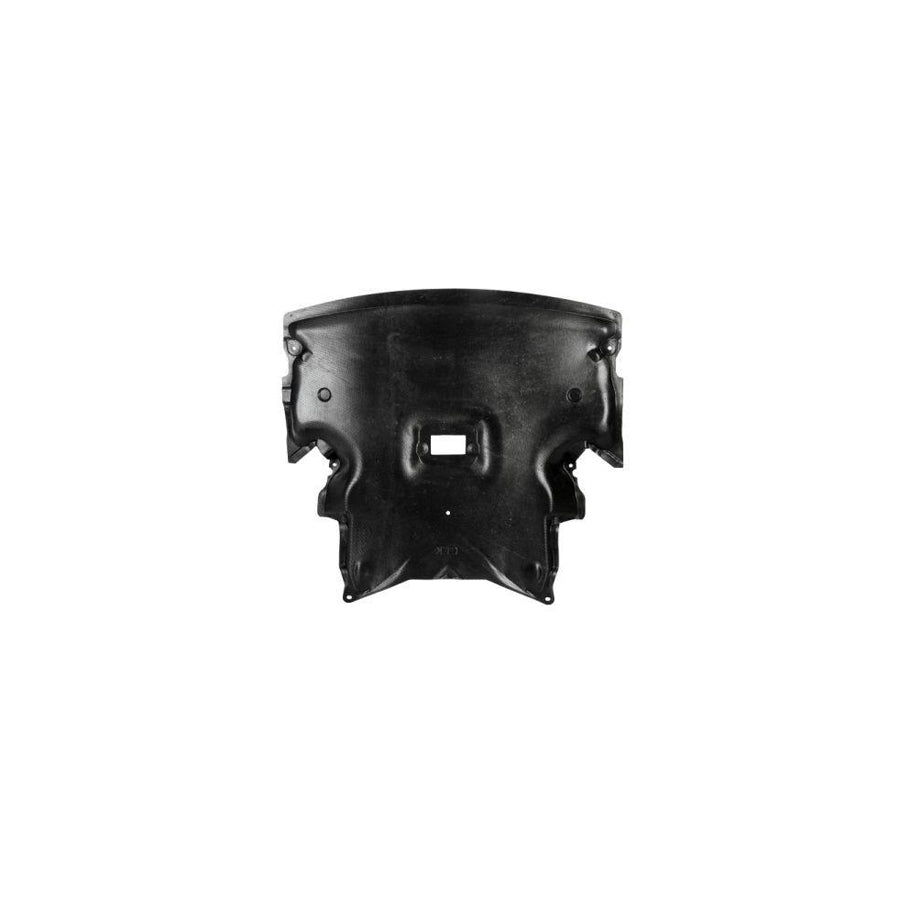 Blic 6601-02-3530860P Engine Cover Suitable For Mercedes-Benz Clk