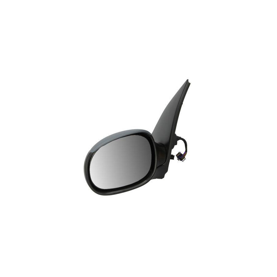 Blic 5402-04-1139283P Wing Mirror For Peugeot 206