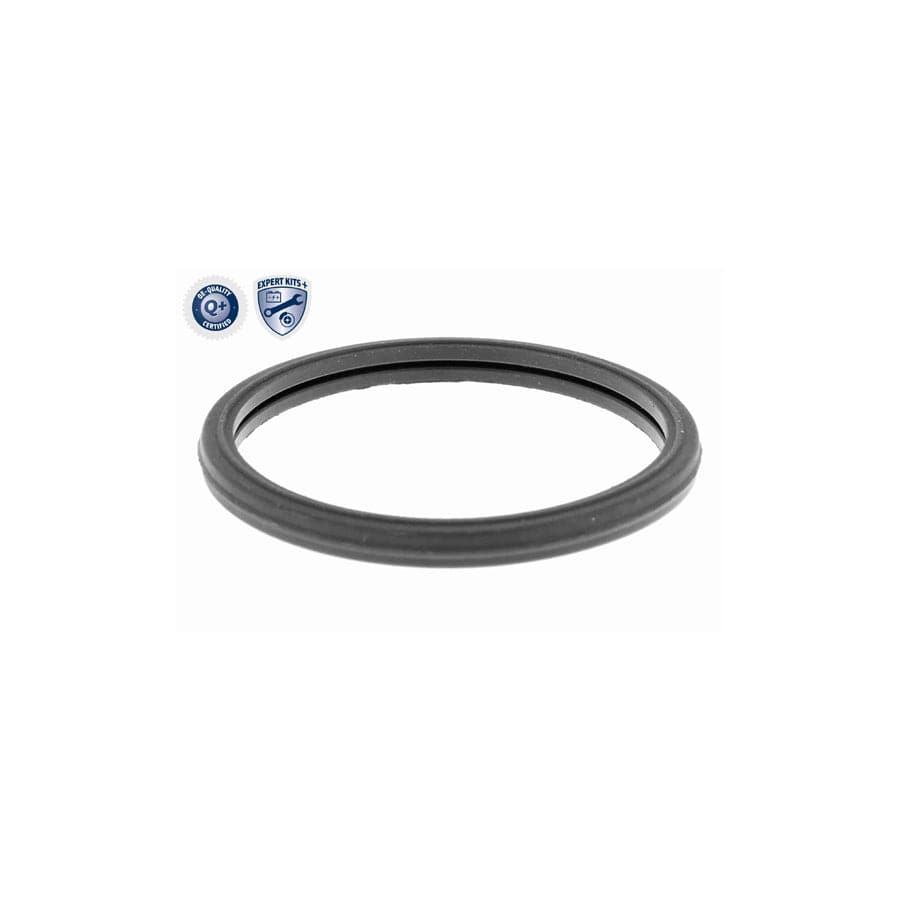 Ackoja A52-1512 Shock Absorber | ML Performance US