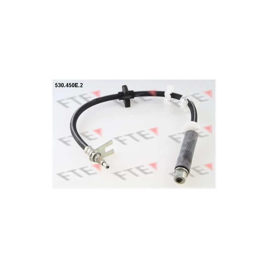 FTE 9240753 Brake Hose for Peugeot 406