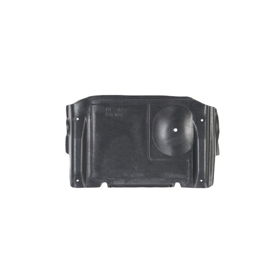 Blic 6601-02-3560860P Engine Cover Suitable For Mercedes-Benz Ml-Class (W163)