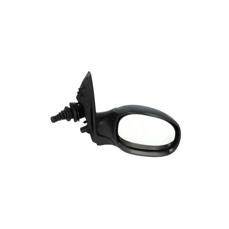 Blic 5402-04-1115286P Wing Mirror For Peugeot 206