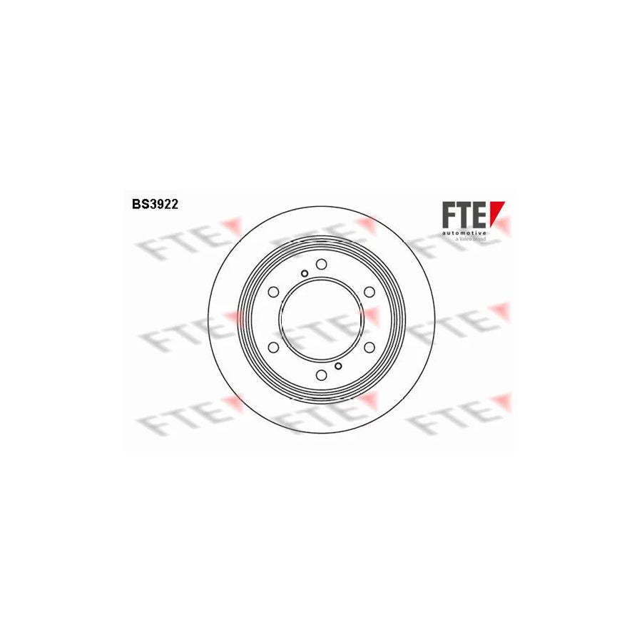 FTE Bs3922 Brake Disc for Nissan Terrano I Off-Road (Wd21)