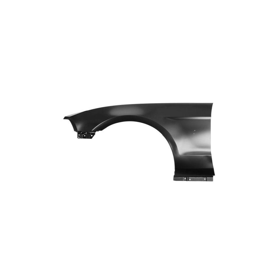 Blic 6504-04-2585317P Wing Fender For Ford Usa Mustang