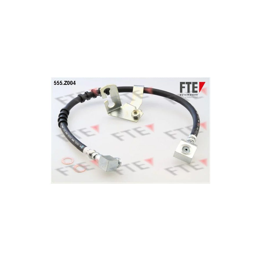 FTE 555.Z004 Brake Hose