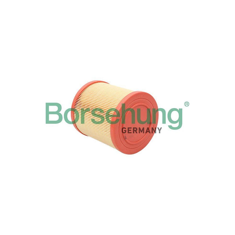 Borsehung B12813 Air Filter for Audi A6