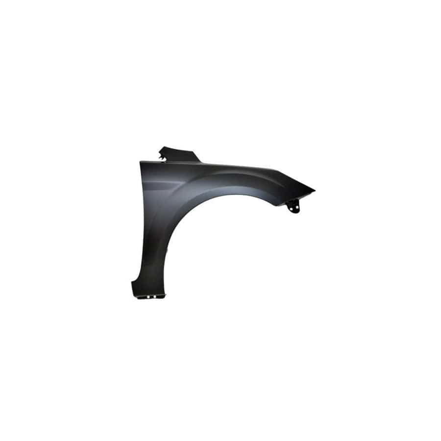 Abakus 01713202 Wing Fender for Ford Focus