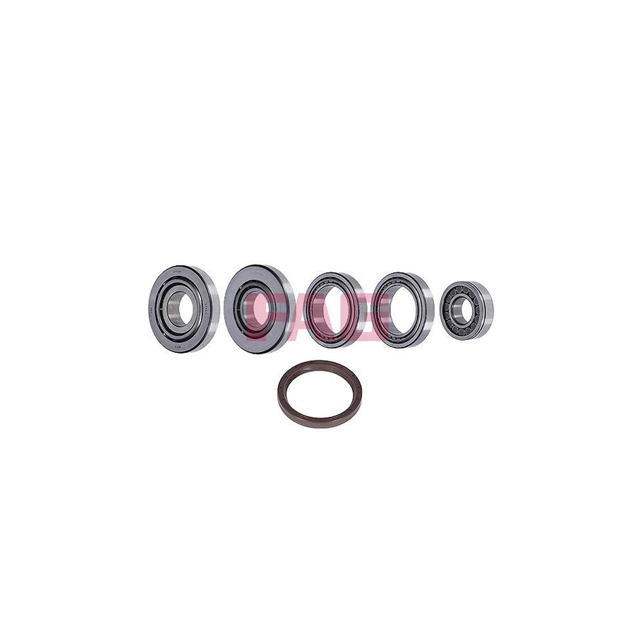 FAG 463 0125 10 Repair Kit, Differential