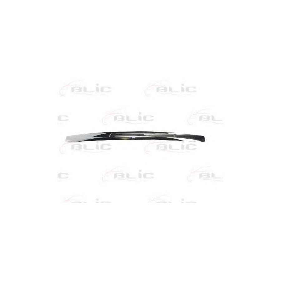 Blic 6502-07-2533993P Trim / Protective Strip, Radiator Grille For Ford Focus