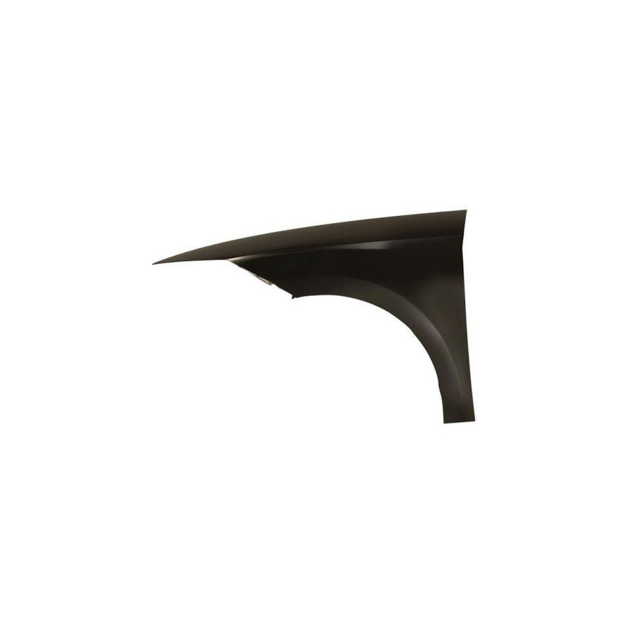 Blic 6504-04-6623311P Wing Fender For Seat Ibiza