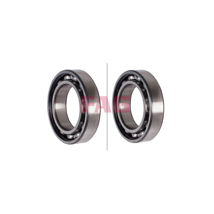 FAG 6009 Bearing