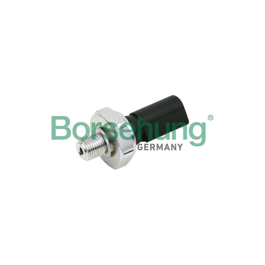 Borsehung B13138 Oil Pressure Switch