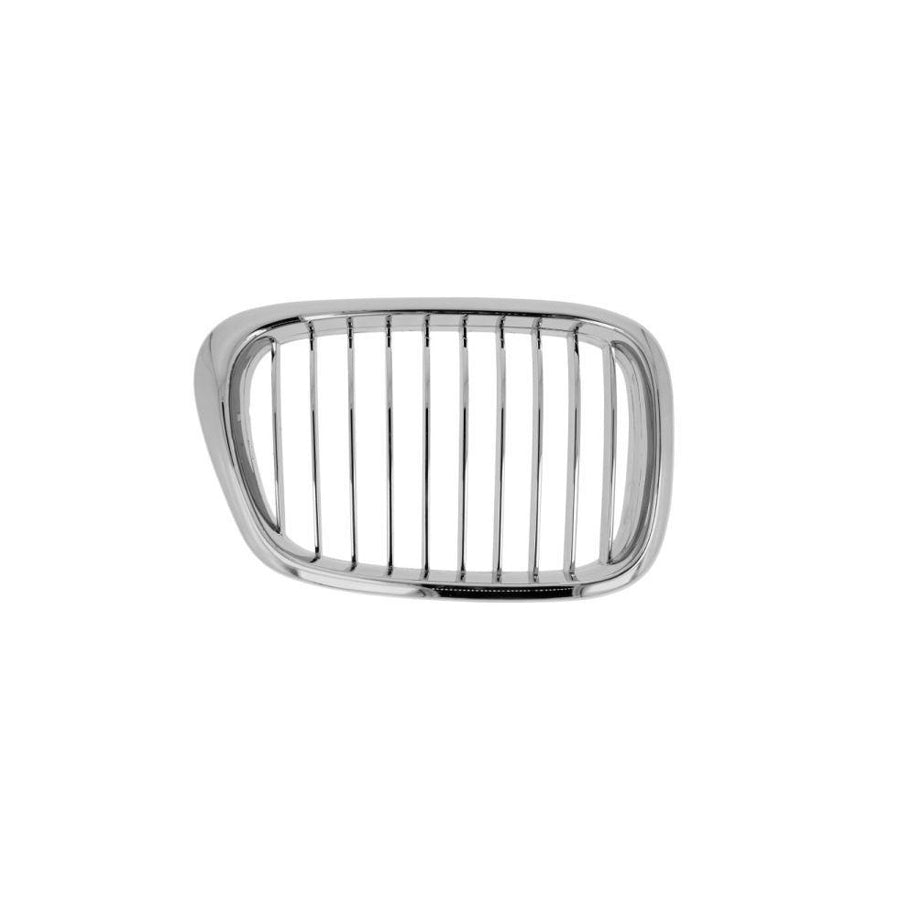 Blic 6502-07-00659916P Radiator Grille For BMW 5 Series