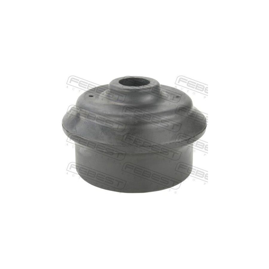 Febest Sgsb-005 Axle Bush