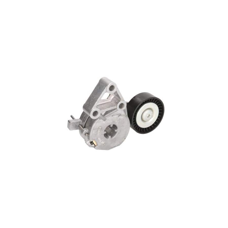 BTA E3W0001BTA Tensioner Pulley