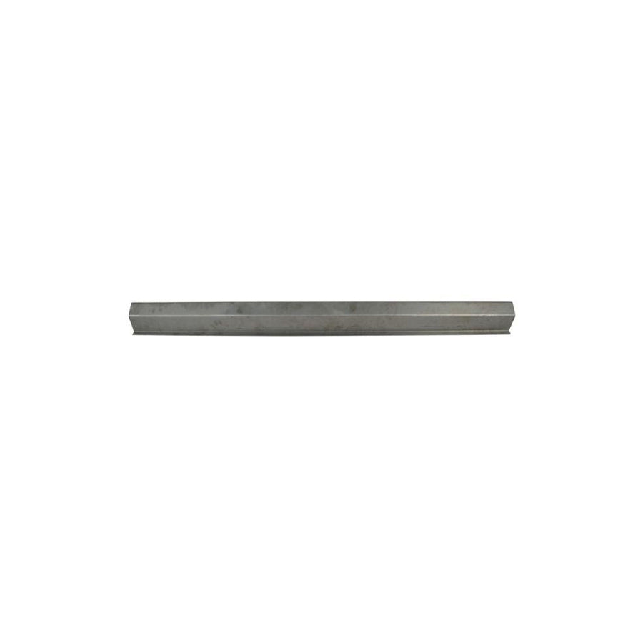 Blic 6505-06-2507015P Rocker Panel