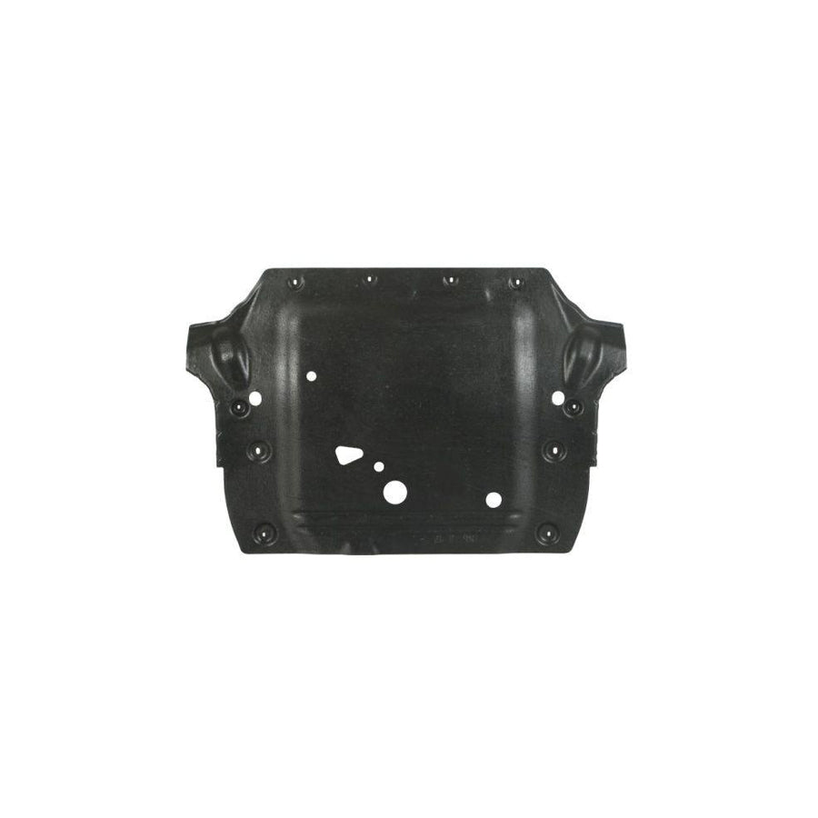 Blic 6601-02-5054860P Engine Cover