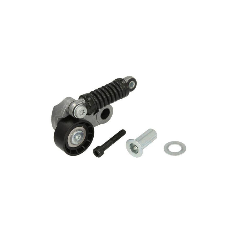 BTA E3R0010BTA Tensioner Pulley
